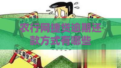 农行网捷贷逾期还款方式有哪些
