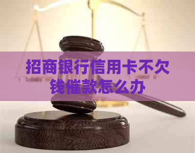 招商银行信用卡不欠钱催款怎么办
