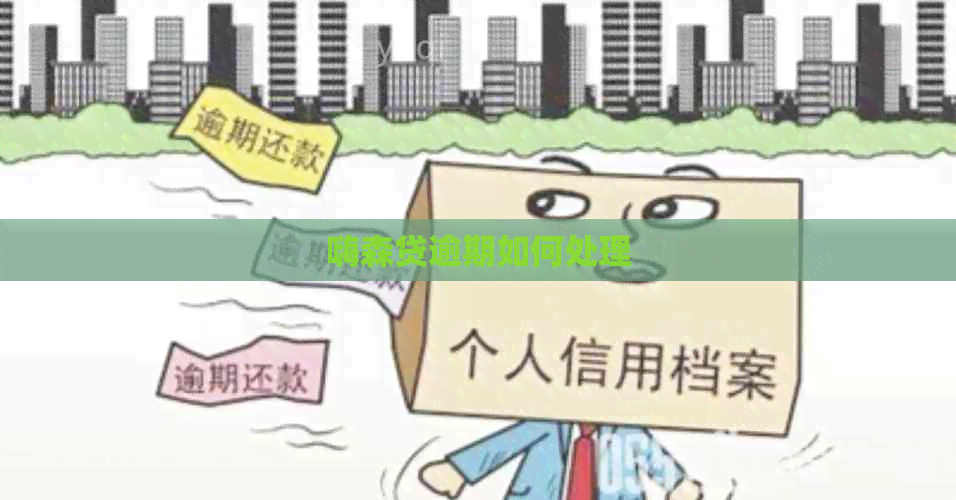 嗨森贷逾期如何处理