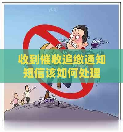 收到追缴通知短信该如何处理