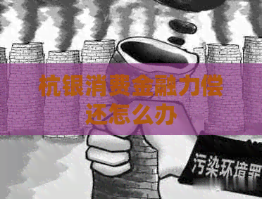 杭银消费金融力偿还怎么办