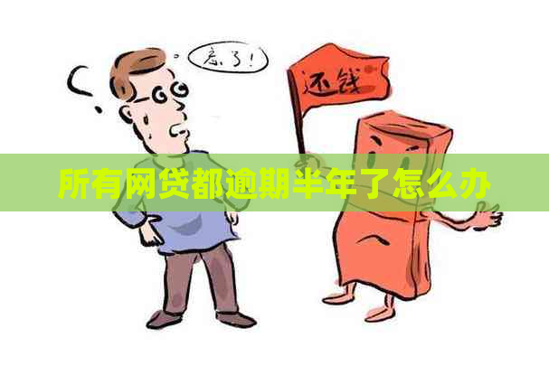 所有网贷都逾期半年了怎么办