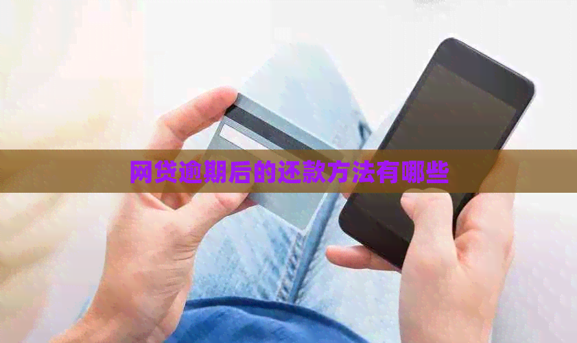 网贷逾期后的还款方法有哪些