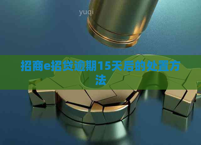 招商e招贷逾期15天后的处置方法