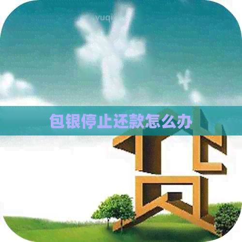 包银停止还款怎么办