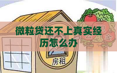 微粒贷还不上真实经历怎么办
