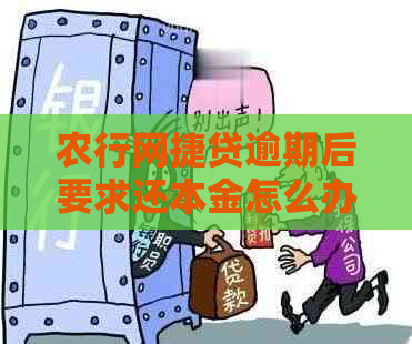农行网捷贷逾期后要求还本金怎么办