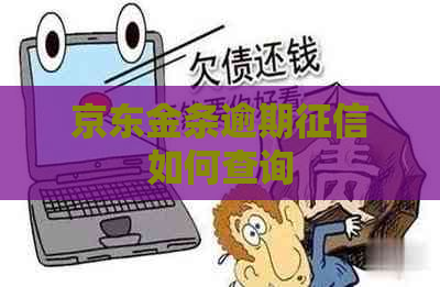 京东金条逾期如何查询