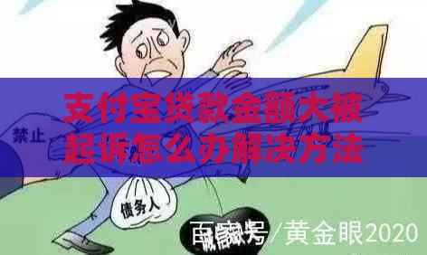 支付宝贷款金额大被起诉怎么办解决方法