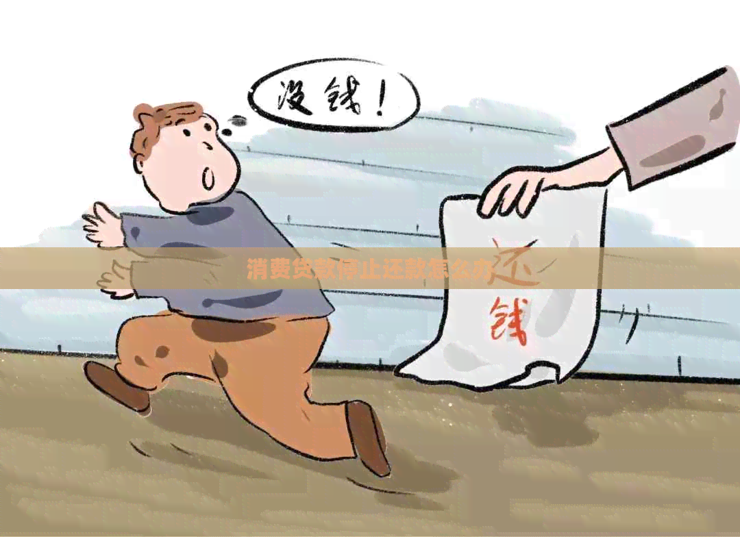 消费贷款停止还款怎么办