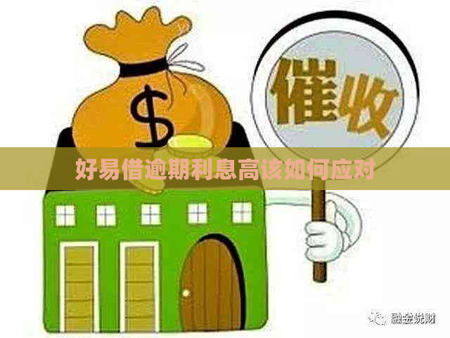 好易借逾期利息高该如何应对