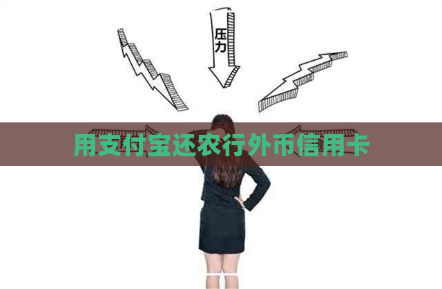 用支付宝还农行外币信用卡 用支付宝还农行外币信用卡