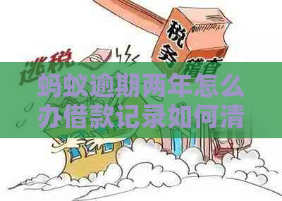 蚂蚁逾期两年怎么办借款记录如何清除