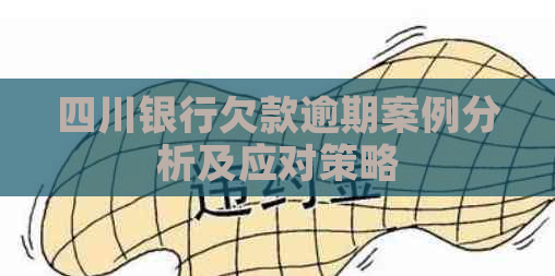 四川银行欠款逾期案例分析及应对策略