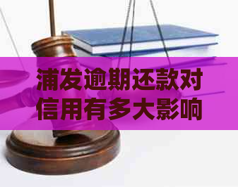 浦发逾期还款对信用有多大影响