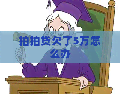 欠了5万怎么办