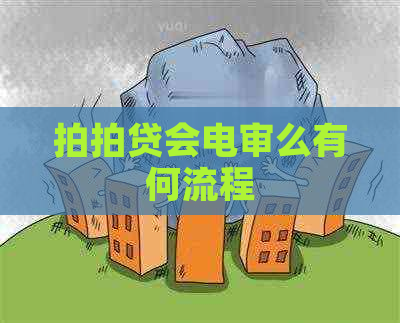 会电审么有何流程