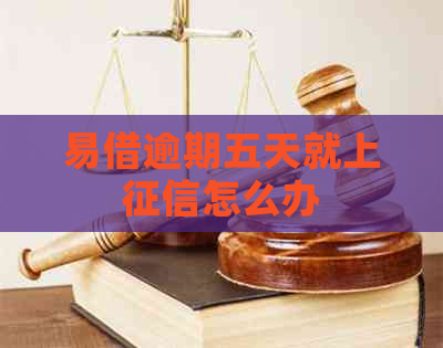 易借逾期五天就上怎么办