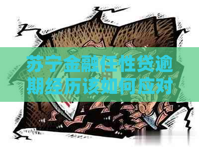 苏宁金融任性贷逾期经历该如何应对
