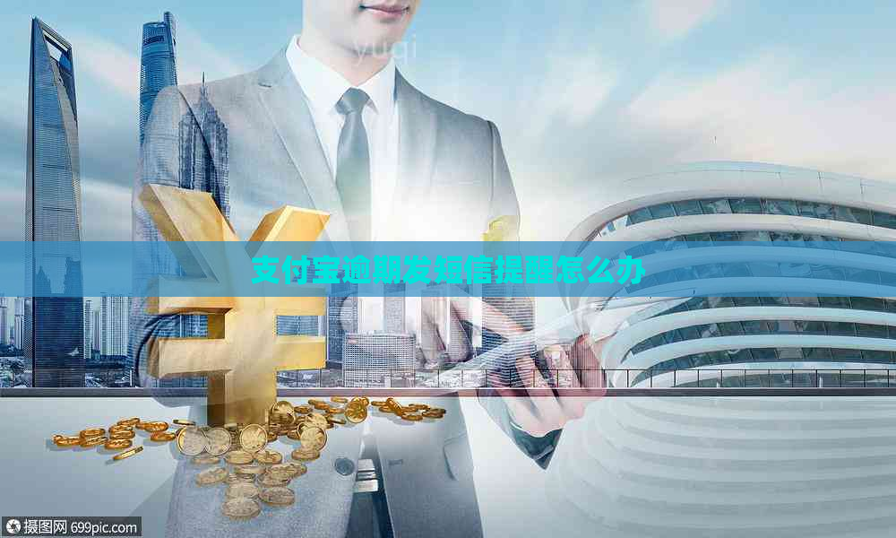 支付宝逾期发短信提醒怎么办
