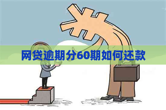 网贷逾期分60期如何还款