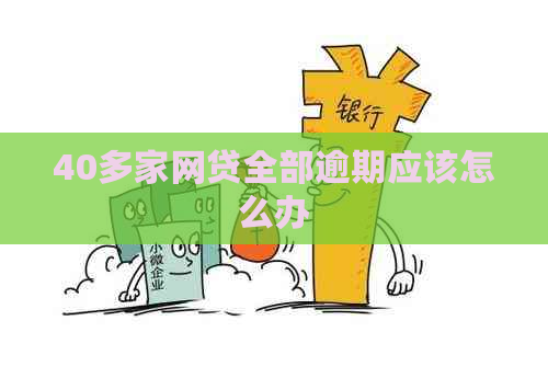 40多家网贷全部逾期应该怎么办