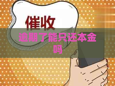 逾期了能只还本金吗