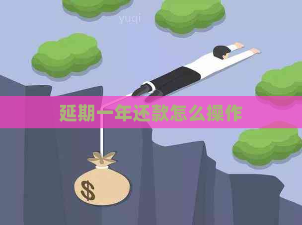 延期一年还款怎么操作