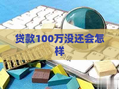 贷款100万没还会怎样