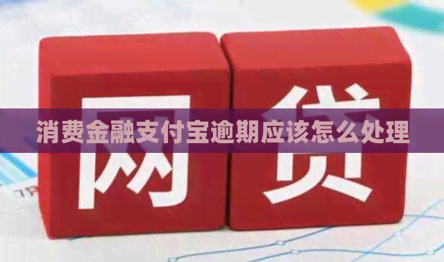 消费金融支付宝逾期应该怎么处理