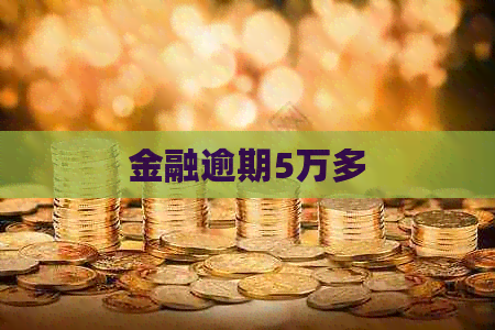 金融逾期5万多