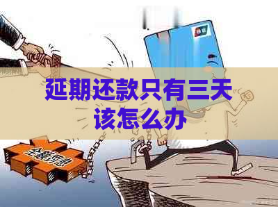 延期还款只有三天该怎么办