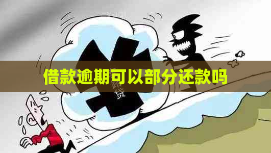 借款逾期可以部分还款吗