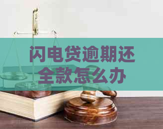 闪电贷逾期还全款怎么办