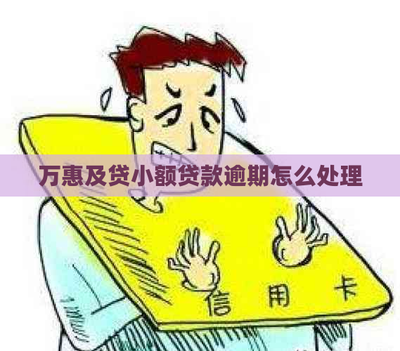 万惠及贷小额贷款逾期怎么处理