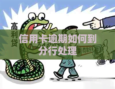 信用卡逾期如何到分行处理