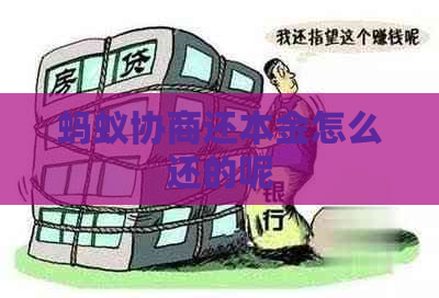 蚂蚁协商还本金怎么还的呢