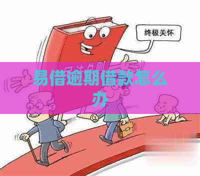 易借逾期借款怎么办
