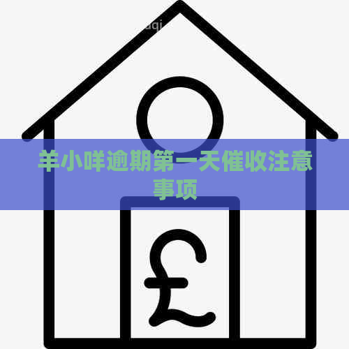 羊小咩逾期之一天注意事项