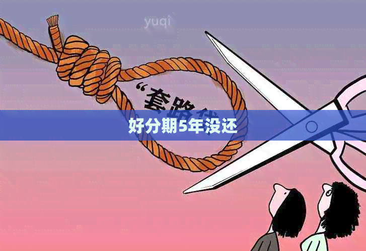 5年没还