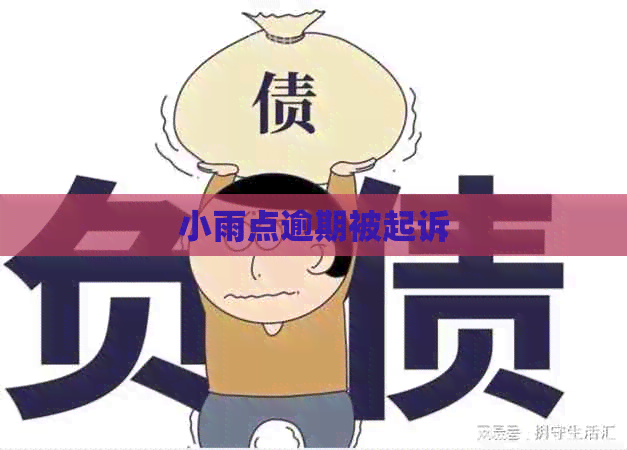 小雨点逾期被起诉