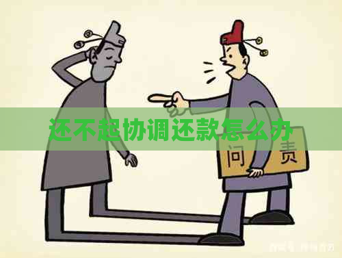 还不起协调还款怎么办