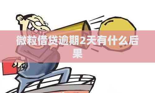 微粒借贷逾期2天有什么后果