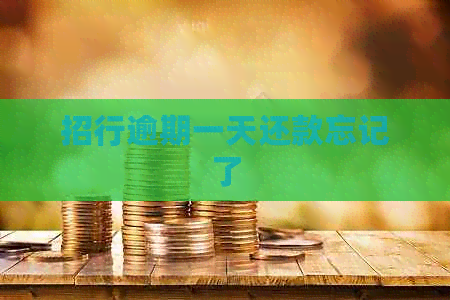 招行逾期一天还款忘记了