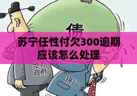 苏宁任性付欠300逾期应该怎么处理