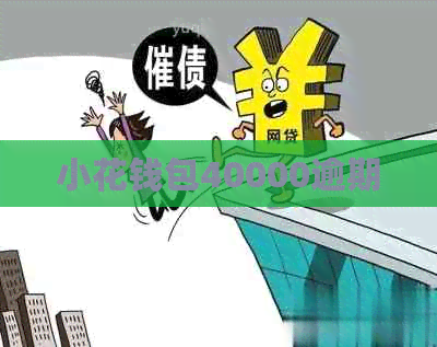 小花钱包40000逾期