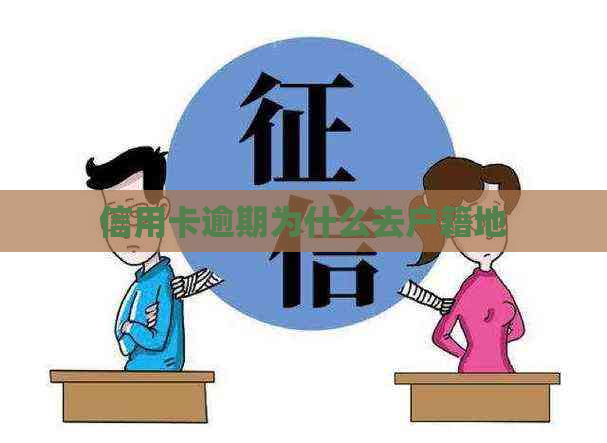 信用卡逾期为什么去户籍地