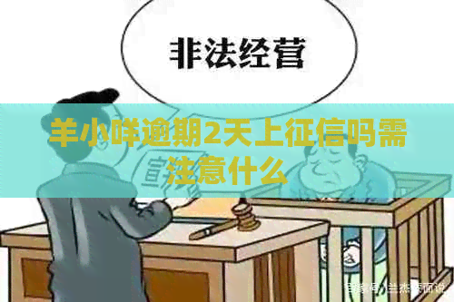 羊小咩逾期2天上吗需注意什么