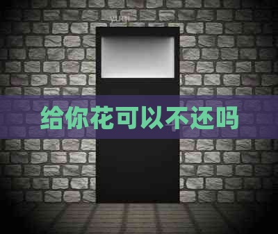 给你花可以不还吗