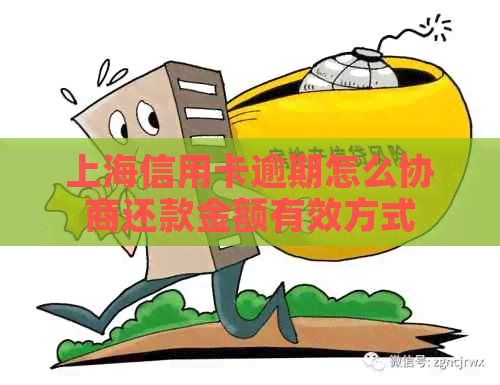 上海信用卡逾期怎么协商还款金额有效方式